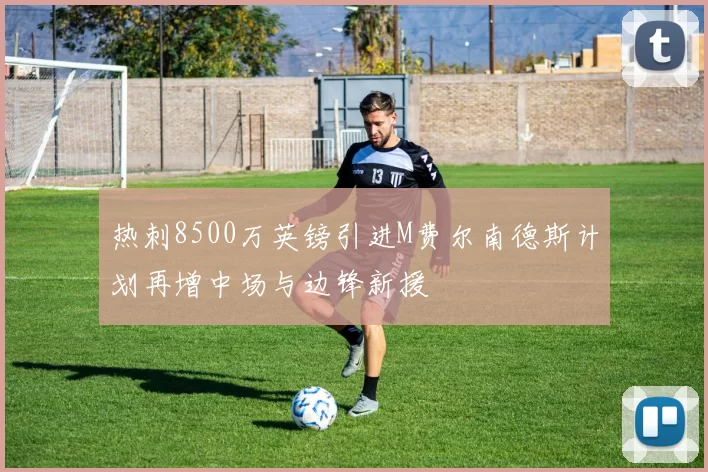 热刺8500万英镑引进M费尔南德斯计划再增中场与边锋新援