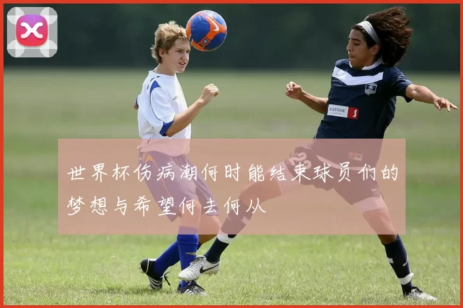 世界杯伤病潮何时能结束球员们的梦想与希望何去何从